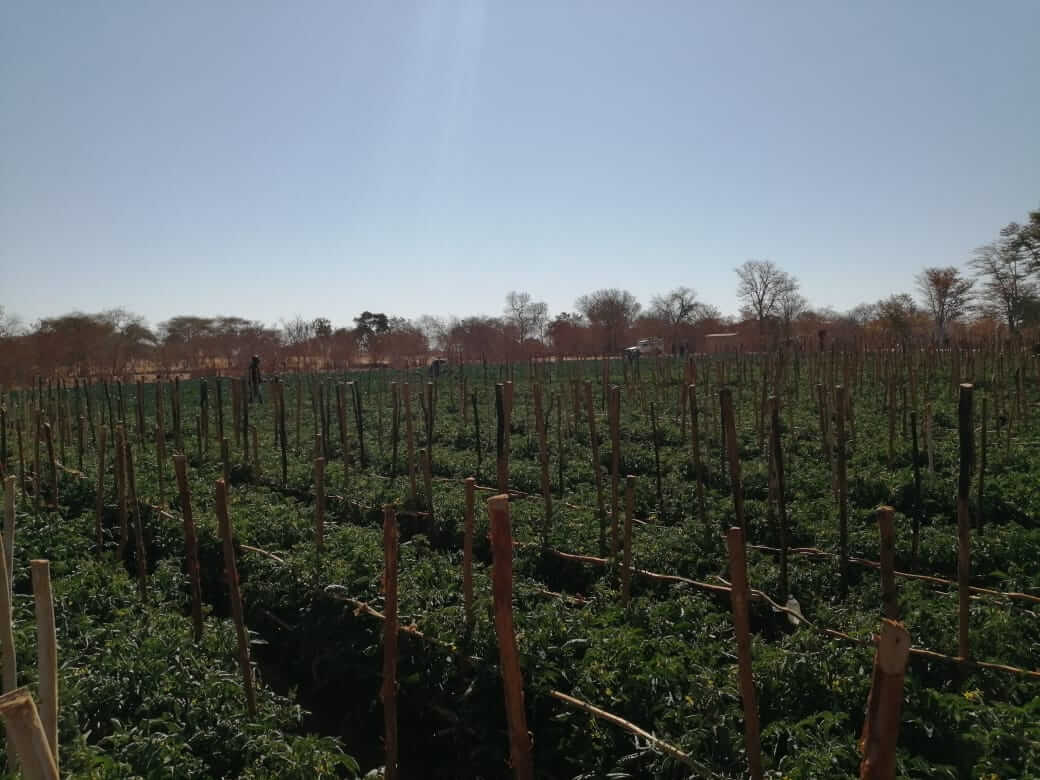 Rural development field activity