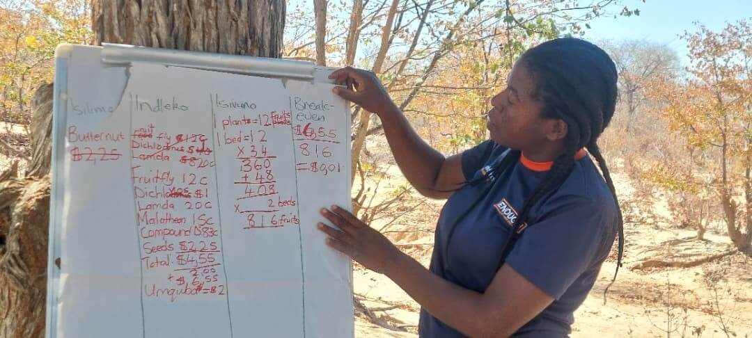 SLZ team and community implementation capacity